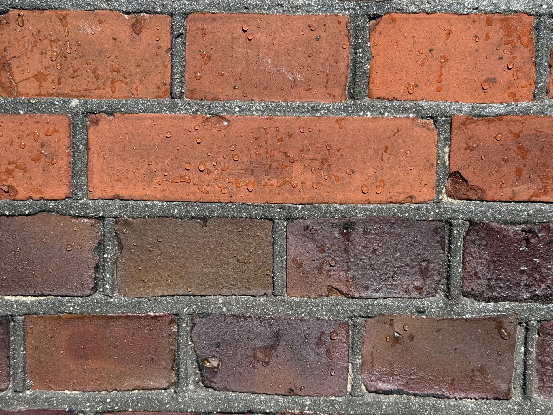 IMG 0099